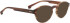 ENTOURAGE OF 7 CARLOS sunglasses in Brown/Clear Brown