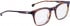 ENTOURAGE OF 7 SAWYER glasses in Brown