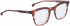 ENTOURAGE OF 7 SAWYER glasses in Matt Brown