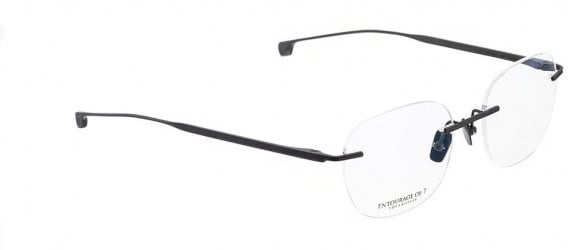 ENTOURAGE OF 7 ICONS-7007 glasses in Black