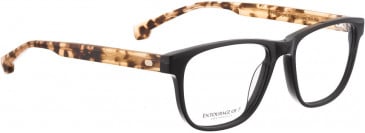 ENTOURAGE OF 7 FLINTRIDGE glasses in Black