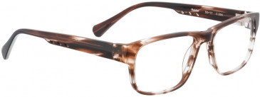 BELLINGER RAIDER glasses in Brown