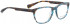 BELLINGER PIT-6 glasses in Blue Brown