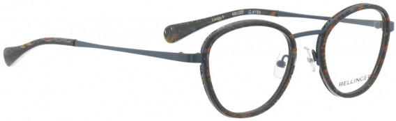 BELLINGER LOOP-1-49 glasses in Blue Brown