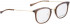 BELLINGER LESS1891 glasses in Brown Transparent