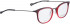 BELLINGER LESS1891 glasses in Red Transparent