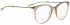 BELLINGER LESS1884 glasses in Brown Transparent