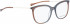 BELLINGER LESS1842 glasses in Grey/Brown Transparent