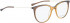 BELLINGER LESS1841 glasses in Brown Transparent