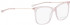 BELLINGER LESS1815 glasses in Pink Transparent