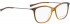 BELLINGER LESS1813 glasses in Brown Transparent