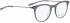 BELLINGER LESS1811 glasses in Grey Transparent