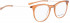 BELLINGER LESS1811 glasses in Brown Transparent