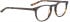 BELLINGER KOI glasses in Tortoise