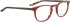 BELLINGER KOI glasses in Red