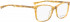 BELLINGER COZY glasses in Gold Pattern