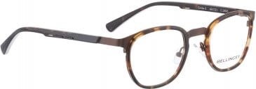 BELLINGER CIRCLE-3 glasses in Brown Tortoise