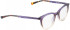 BELLINGER CHILL glasses in Purple