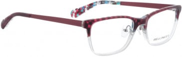 BELLINGER CELLO glasses in Purple-White
