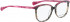 BELLINGER BROWS-5 glasses in Grey Pattern