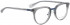 BELLINGER BRAVE-3 glasses in Grey Transparent