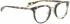 BELLINGER BRAVE-3 glasses in Brown Pattern
