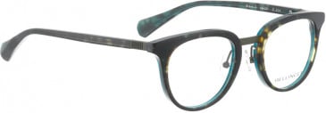 BELLINGER BRAVE-3 glasses in Brown/Blue