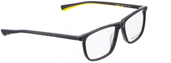 BELLINGER BLACKBIRD glasses in Black