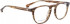 ENTOURAGE OF 7 SANBERNADINO glasses in Brown Pattern