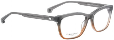 ENTOURAGE OF 7 REESE-2 glasses in Grey Crystal