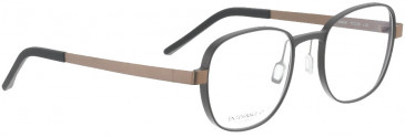 ENTOURAGE OF 7 OAKVILLE glasses in Brown