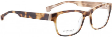ENTOURAGE OF 7 MAYA glasses in Light Tortoise