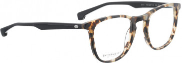ENTOURAGE OF 7 GLEN glasses in Light Tortoise