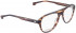 ENTOURAGE OF 7 FARLEY glasses in Brown