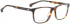 ENTOURAGE OF 7 ETHAN glasses in Dark Havanna