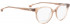 ENTOURAGE OF 7 EMILY glasses in Brown Transparent