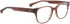 ENTOURAGE OF 7 BLAKELY glasses in Light Brown Matt