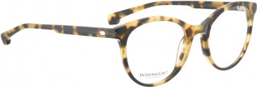 ENTOURAGE OF 7 AVY glasses in Tortoise