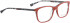 BELLINGER SENSE glasses in Red Pattern