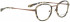 BELLINGER LOOP-1-49 glasses in Orange Brown
