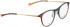 BELLINGER LESS2013 glasses in Grey Brown