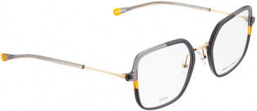 BELLINGER LESS1985 glasses in Grey