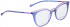 BELLINGER LESS1912 glasses in Purple