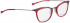 BELLINGER LESS1892 glasses in Red Transparent