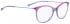 BELLINGER LESS1888 glasses in Purple Transparent