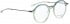 BELLINGER LESS1817 glasses in Green Transparent
