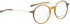 BELLINGER LESS1817 glasses in Brown Transparent