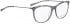 BELLINGER LESS1816 glasses in Grey Transparent