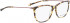 BELLINGER LESS1816 glasses in Brown Pattern