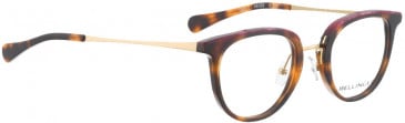 BELLINGER DEFY-1 glasses in Havana